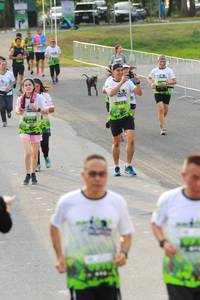 BIB: 2123
                            <button type="button" onclick="openModal(3533908)" class="btn btn-primary btn-sm float-right btn-popup" data-toggle="modal" data-target=".modal-high-quality">
                        <i class="fas fa-shopping-cart"></i> Add to Cart
                    </button>
                                            <button type="button" onclick="isThisMe(3533908, true)" class="btn btn-success btn-sm float-right btn-popup btn-isme hidden" data-toggle="tooltip" data-placement="bottom" title="นี่คือรูปของคุณใช่ไหม คลิกที่นี่เพื่อเอาเข้าอัลบั้ม">
                        <i class="fas fa-plus"></i> Add to album
                    </button>
                    <button type="button" onclick="isThisMe(3533908, false)" class="btn btn-warning btn-sm float-right btn-popup btn-isnotme hidden">
                        <i class="fas fa-ban"></i> Remove from album
                    </button>